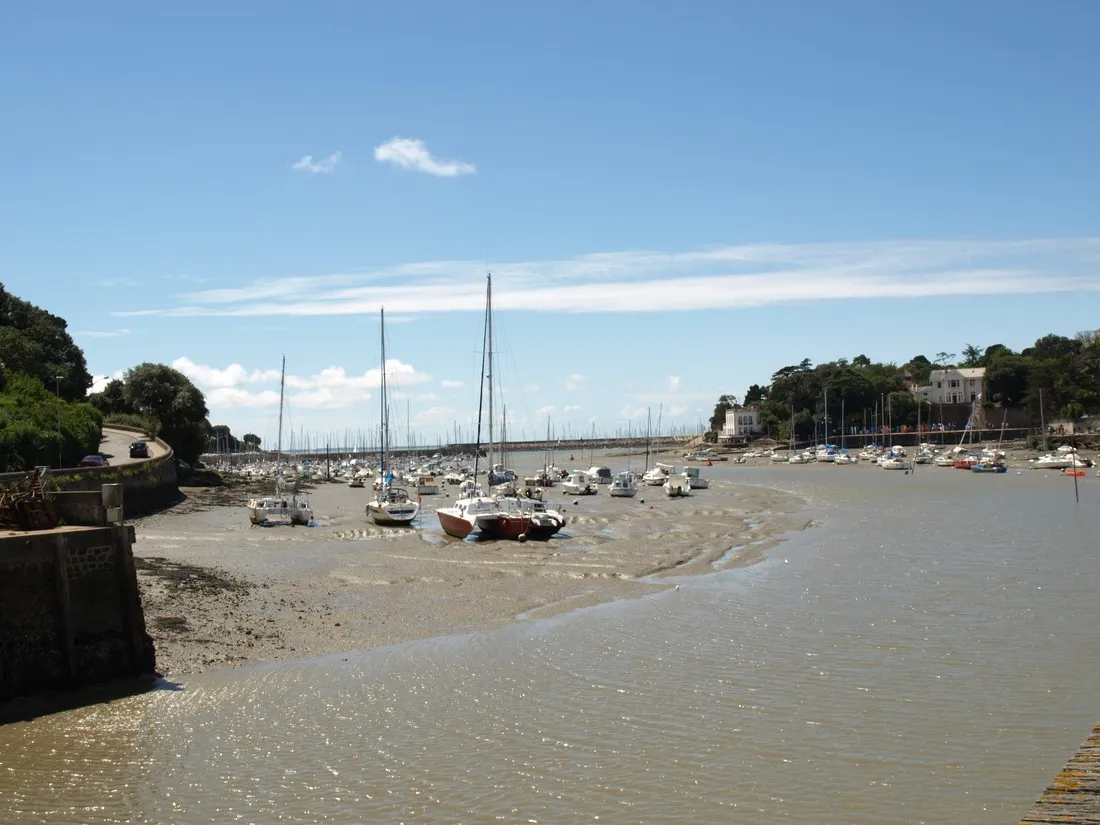 eleacuteovic-preacutefailles-loire-atlantique-gs2ms