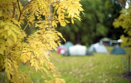 buchan-caves-campground-buchan-ijvsu