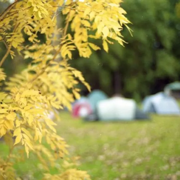 buchan-caves-campground-buchan-ijvsu