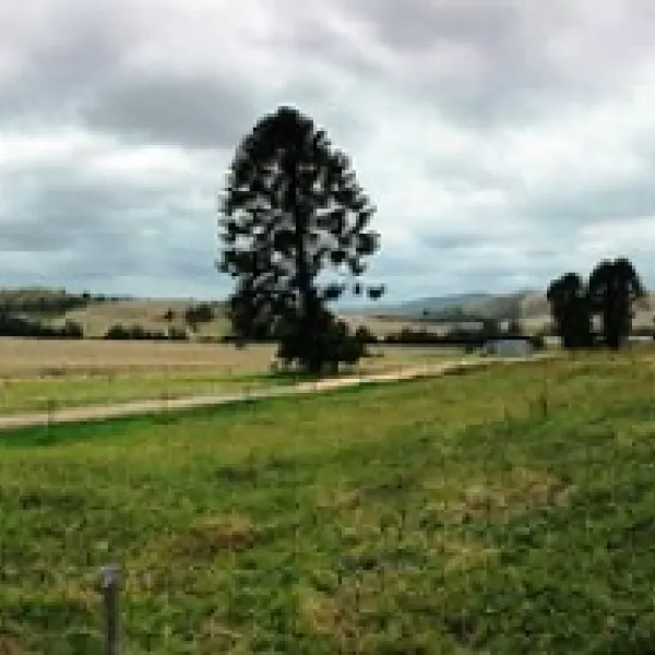 buchan-caves-campground-buchan-pgtxd