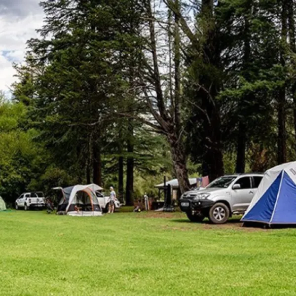 drakensberg-gardens-camping-underberg-drakensberg-xkpq5