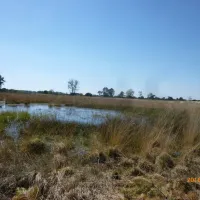 natuurcamping-de-lier-lierop-jekuf