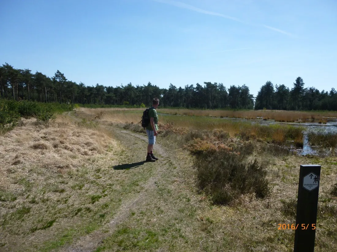 natuurcamping-de-lier-lierop-nbmfc