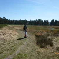 natuurcamping-de-lier-lierop-nbmfc