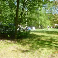 natuurcamping-de-lier-lierop-ndday