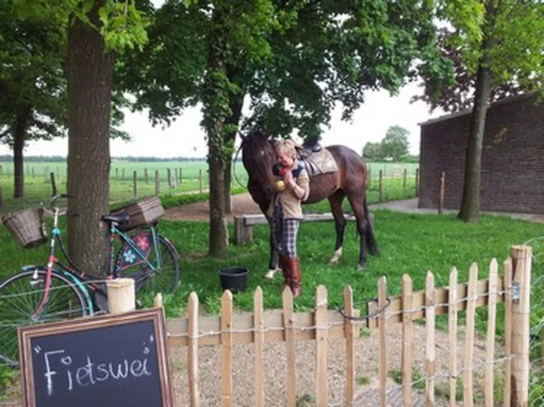 camping-hoeve-de-schaaf-heijen-ctzg8