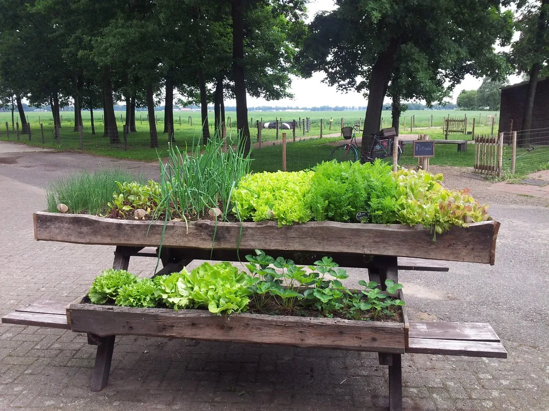 camping-hoeve-de-schaaf-heijen-hosld