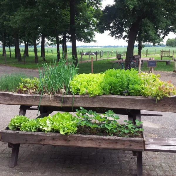 camping-hoeve-de-schaaf-heijen-hosld