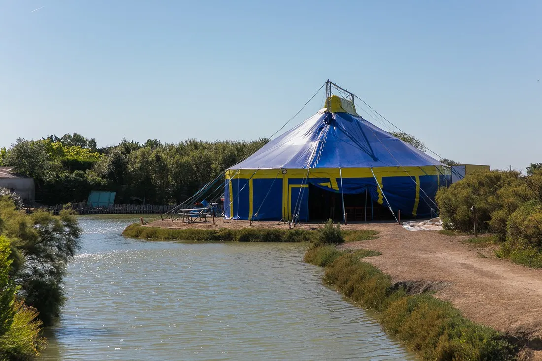l-ocean-la-couarde-sur-mer-charente-maritime-cdshf