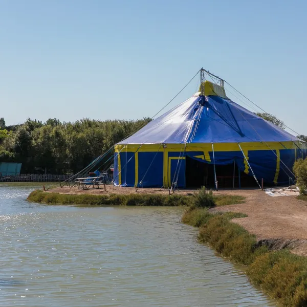 l-ocean-la-couarde-sur-mer-charente-maritime-cdshf
