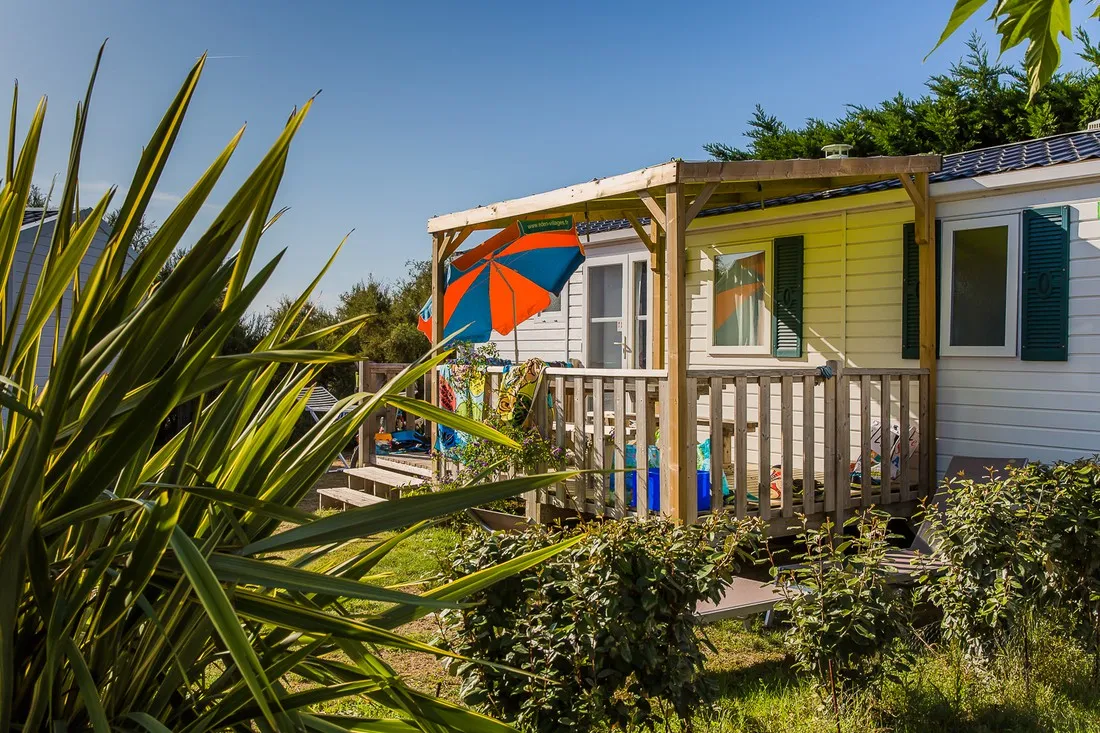 l-ocean-la-couarde-sur-mer-charente-maritime-pllkf