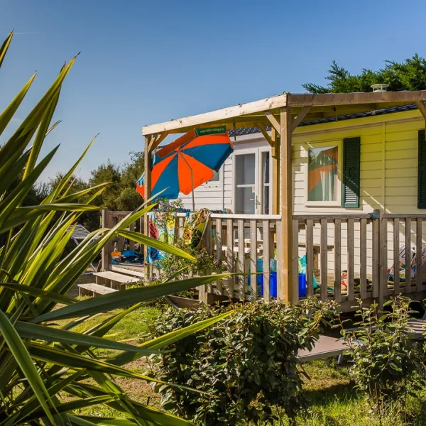 l-ocean-la-couarde-sur-mer-charente-maritime-pllkf