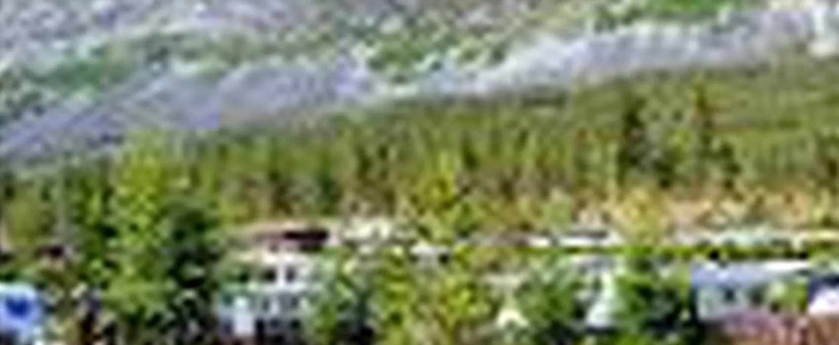 Donfoss Camping