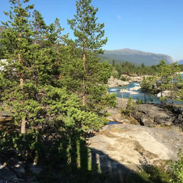 donfoss-camping-donfoss-udx9s