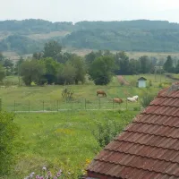 geges-jignita-2zcuh