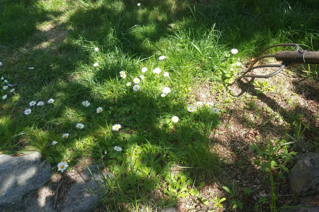 geges-jignita-4j6os