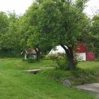 geges-jignita-8af5f