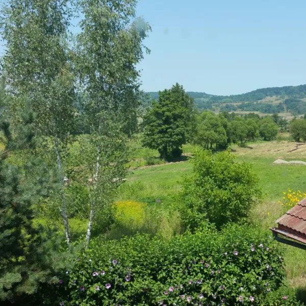geges-jignita-8hxcu