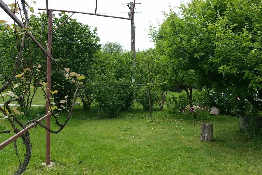 geges-jignita-f1v4j
