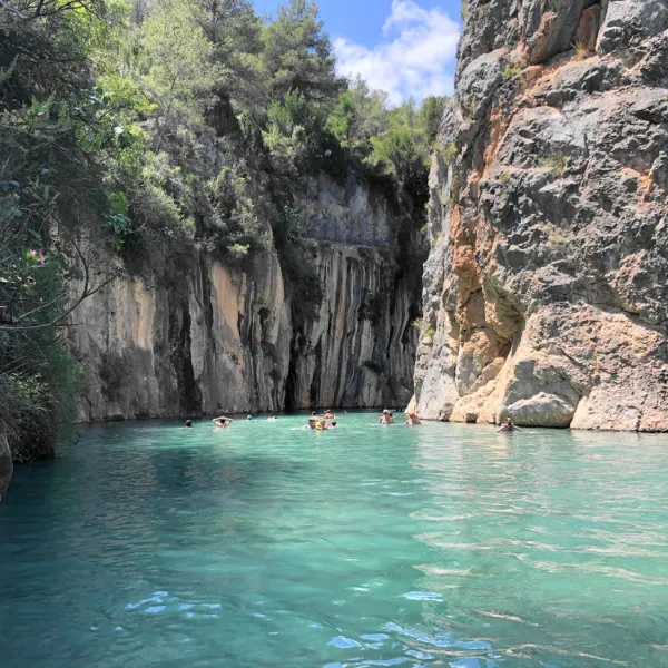 villa-de-viver-viver-3hcxk