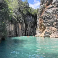 villa-de-viver-viver-3hcxk