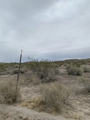 robbins-butte-dispersed-camping-buckeye-dolmw