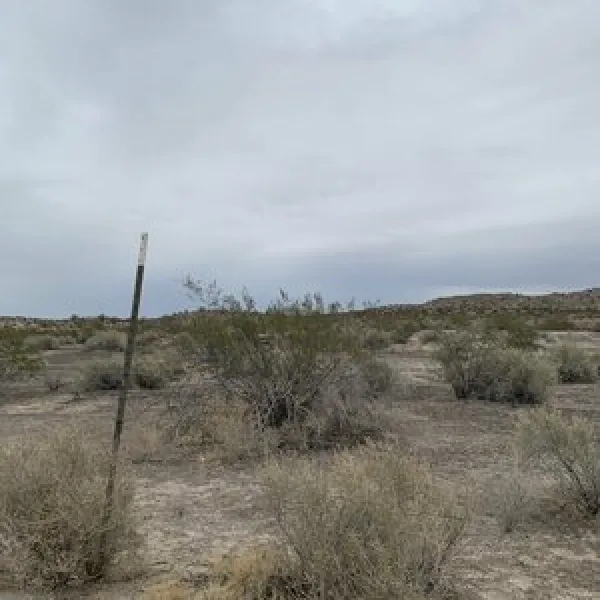 robbins-butte-dispersed-camping-buckeye-dolmw