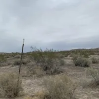 robbins-butte-dispersed-camping-buckeye-dolmw