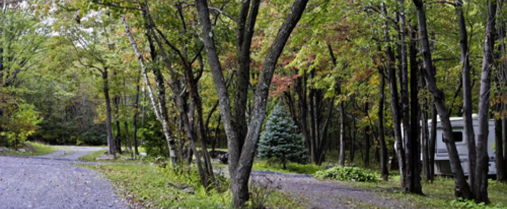 Peaceful Woodlands Family Campground
