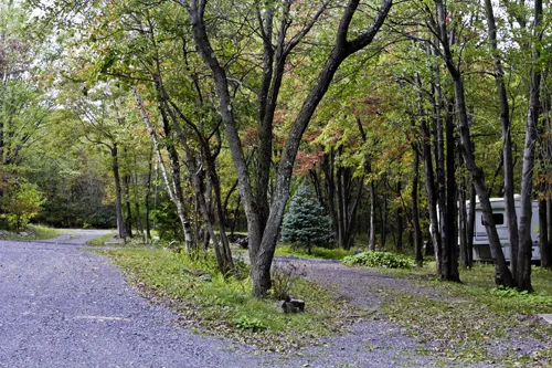 peaceful-woodlands-family-campground-blakeslee-ew2bz