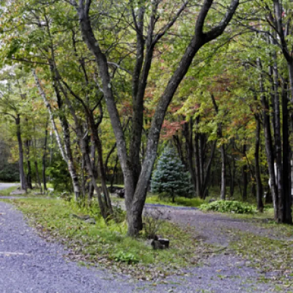 Peaceful Woodlands Family Campground