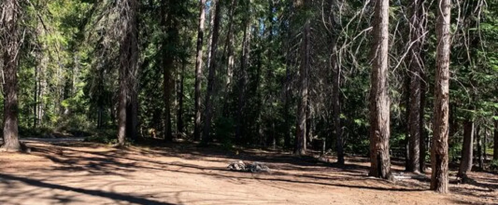 Lower Chiwawa River Road Dispersed Campsites