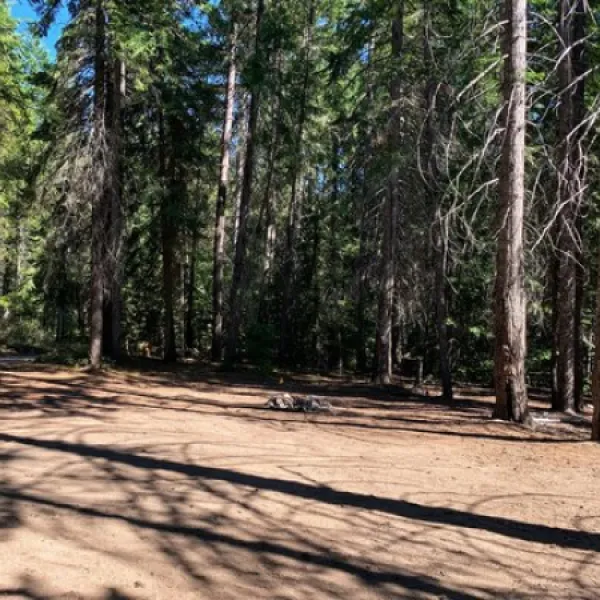 lower-chiwawa-river-road-dispersed-campsites-leavenworth-1ah1d