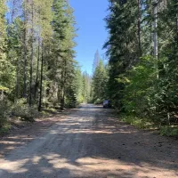 Lower Chiwawa River Road Dispersed Campsites