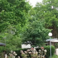 laquarelle-du-limousin-la-souterraine-6vqzh