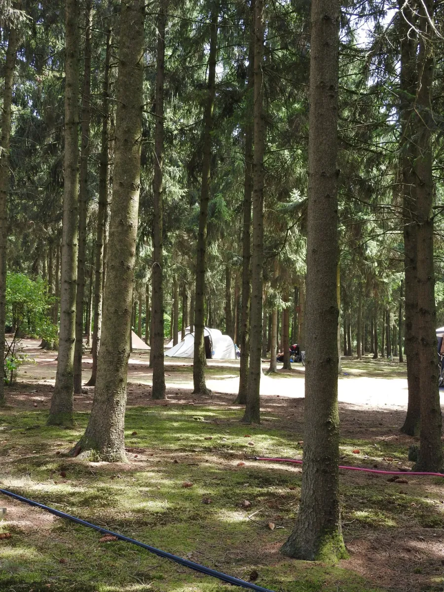 natuurcamping-den-buizerd-geijsteren-fl4wu
