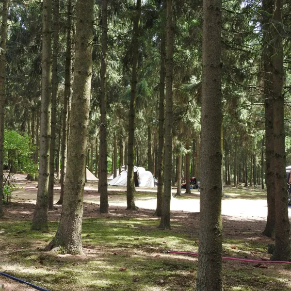 natuurcamping-den-buizerd-geijsteren-fl4wu