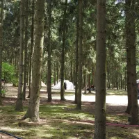 natuurcamping-den-buizerd-geijsteren-fl4wu