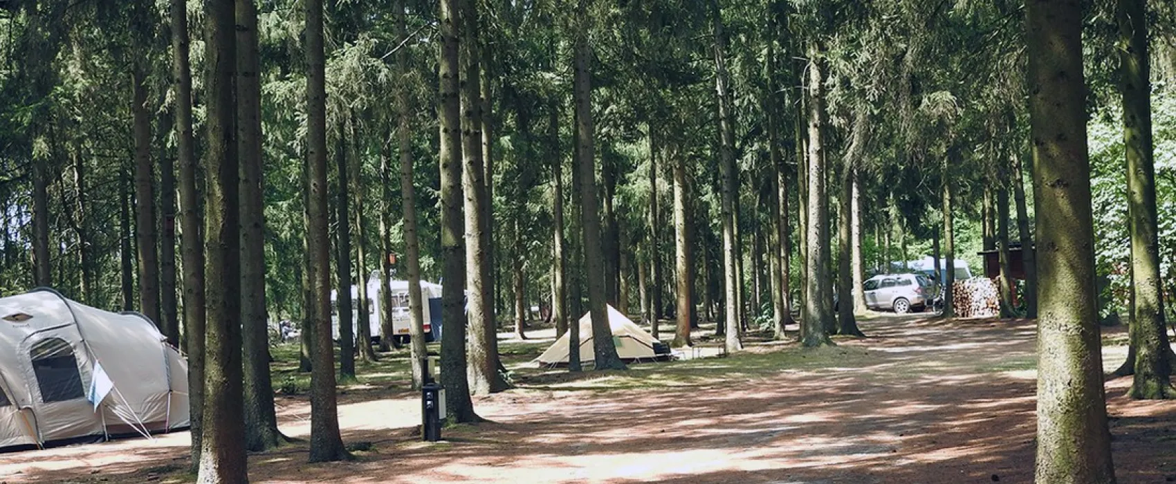 Natuurcamping Den Buizerd
