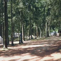 Natuurcamping Den Buizerd