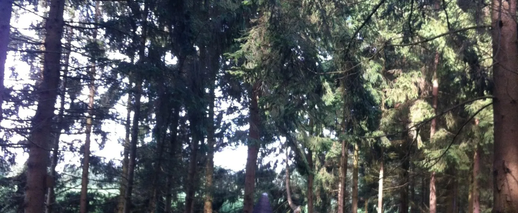 Natuurcamping Den Buizerd