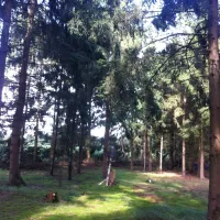 natuurcamping-den-buizerd-geijsteren-vvltf