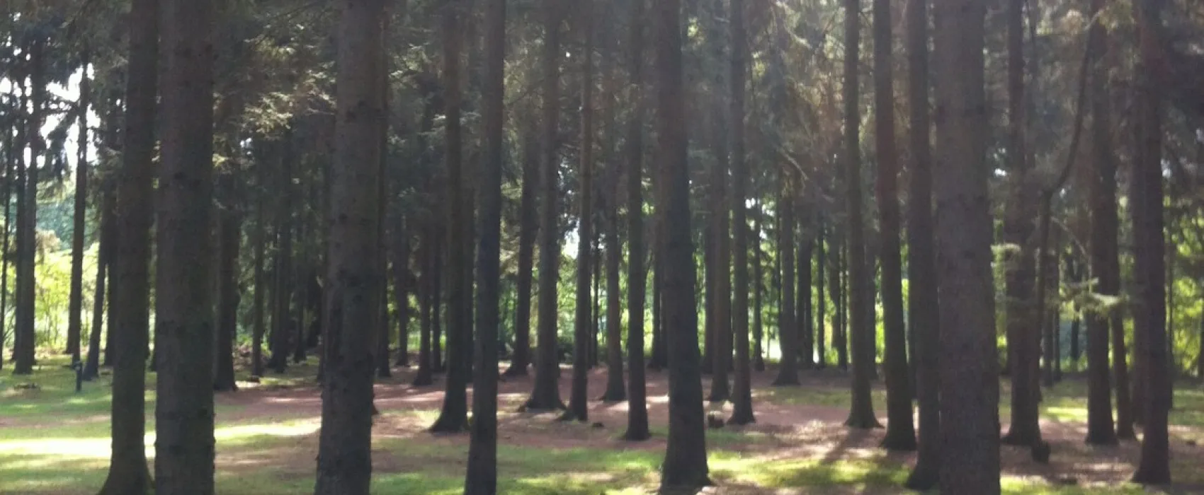 Natuurcamping Den Buizerd