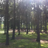 natuurcamping-den-buizerd-geijsteren-zvmor