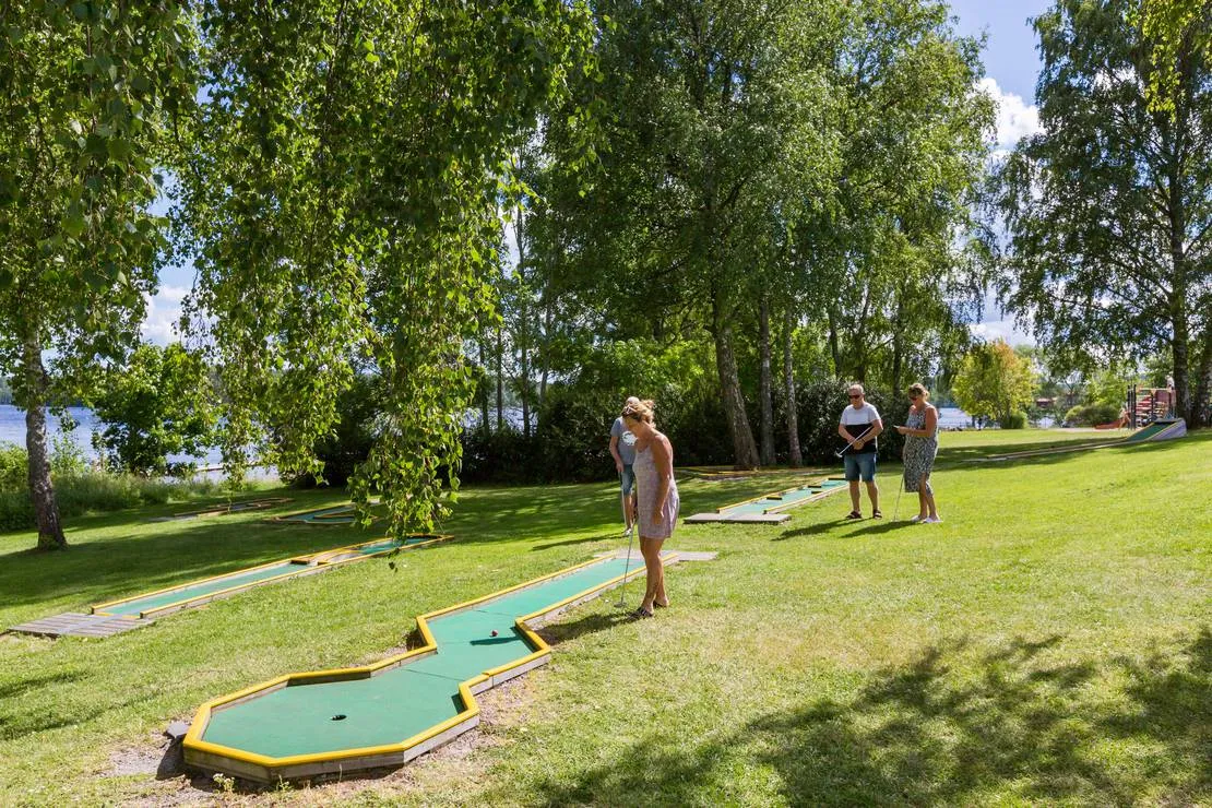 first-camp-nora-bergslagen-nora-cuzly