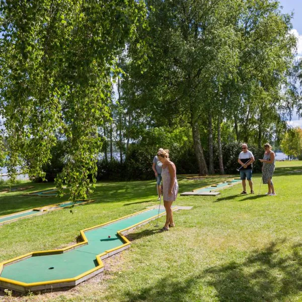 first-camp-nora-bergslagen-nora-cuzly