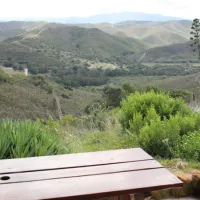 pabala-game-farm-kleinfontein-humansdorp-road-3jsy4