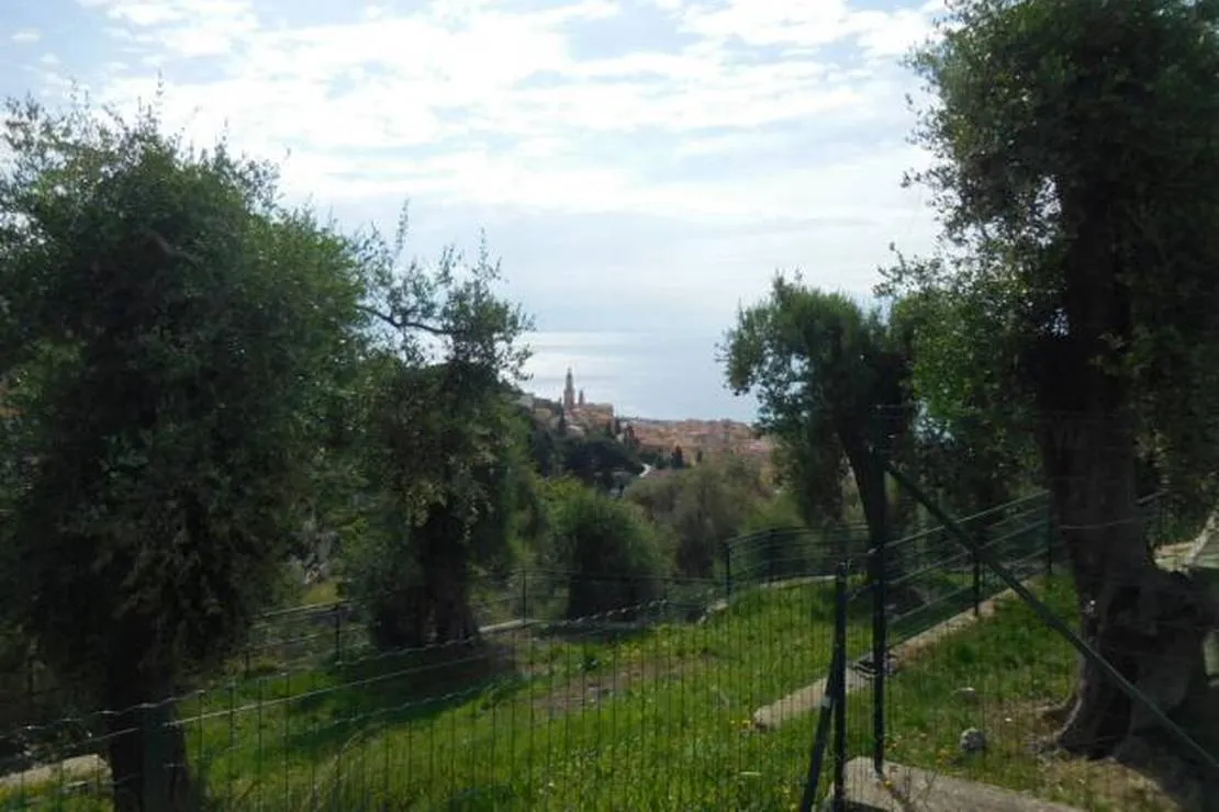 camping-le-parc-saint-michel-menton-naldk