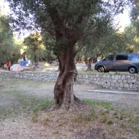 camping-le-parc-saint-michel-menton-tit3r
