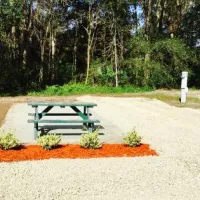 compass-rv-park-st-augustine-ktz9j